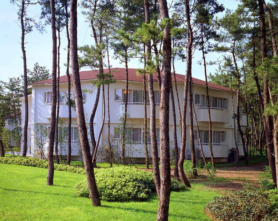 Cottage Himuka Miyazaki Habitación foto